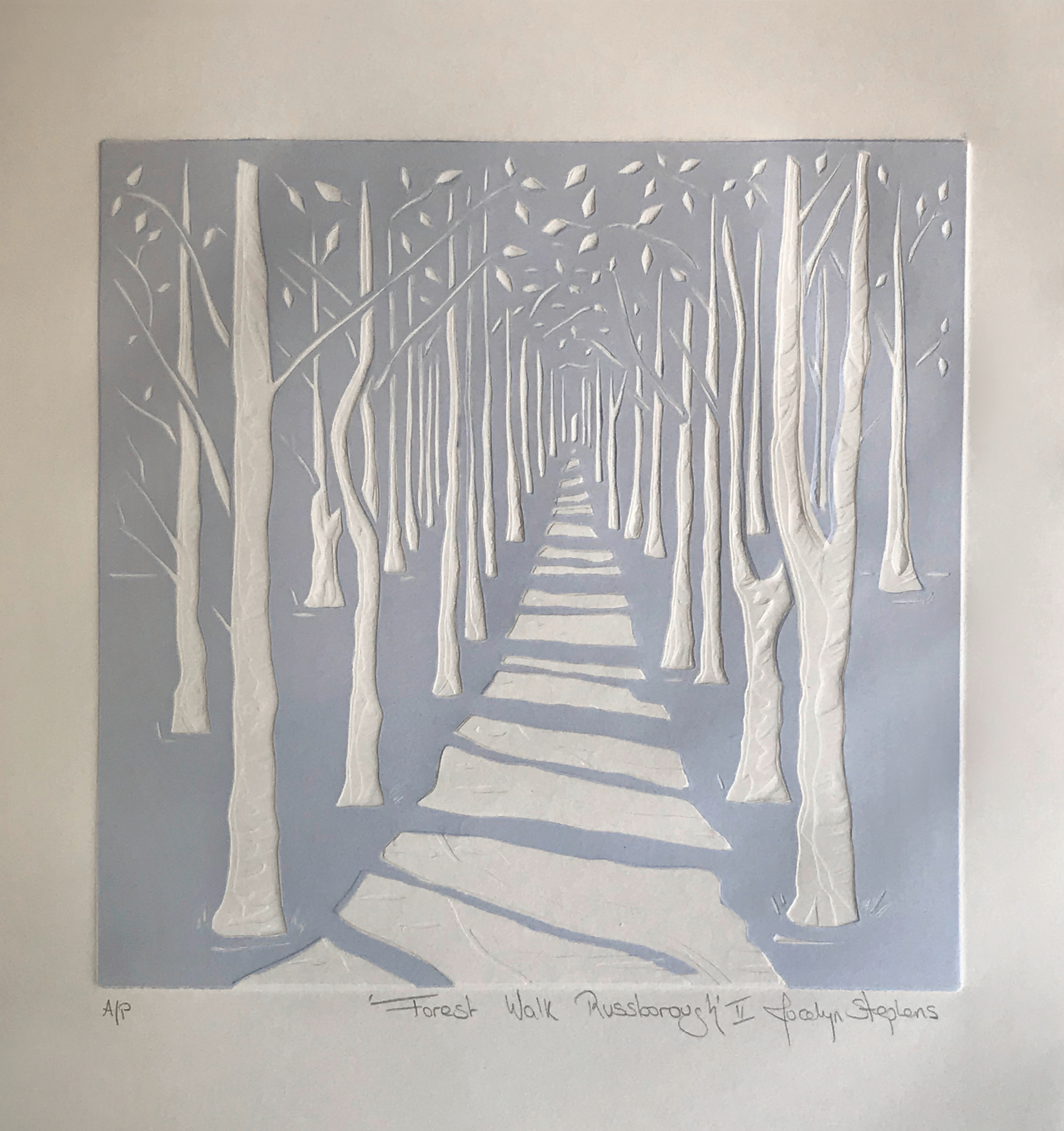 Forest Walk Russborough II