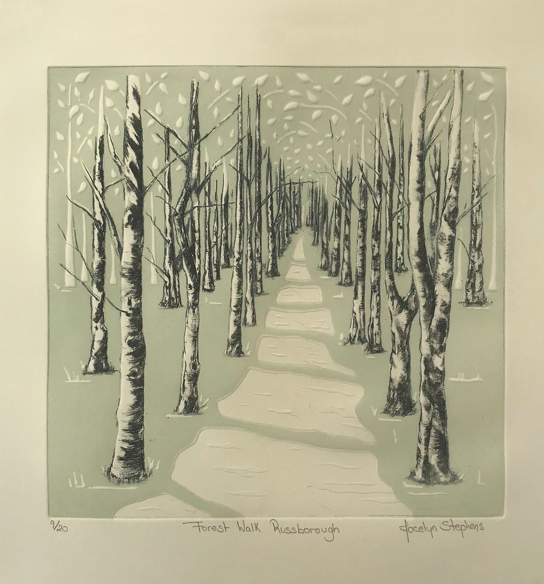 Forest Walk Russborough