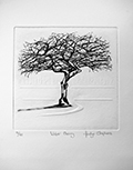Winter Cherry